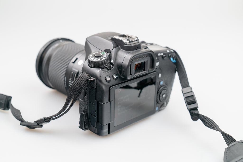 Canon EOS 80D + Sigma 18-300mm f/3.5-6.3 + 50mm f1.8