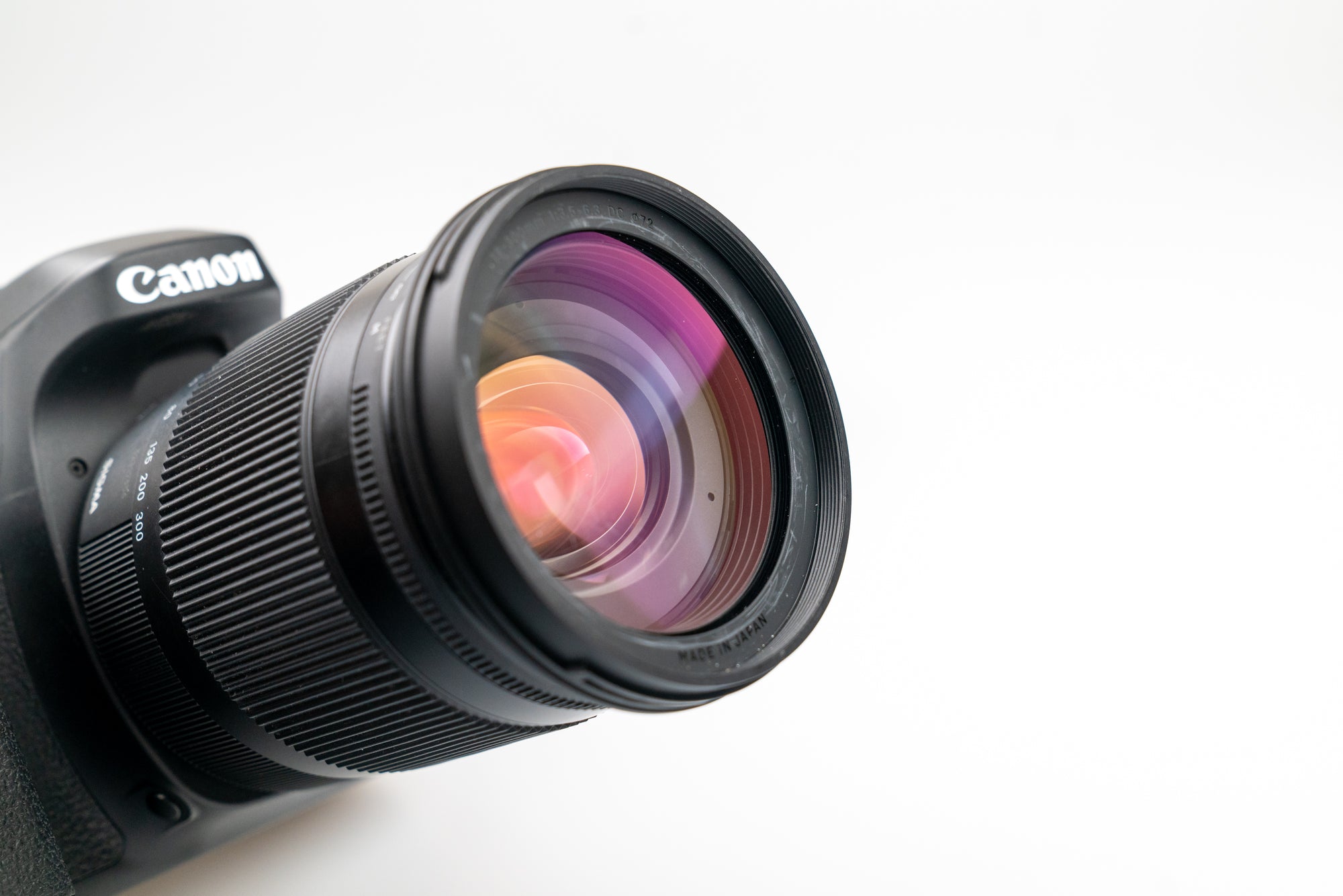 Canon EOS 80D + Sigma 18-300mm f/3.5-6.3 + 50mm f1.8